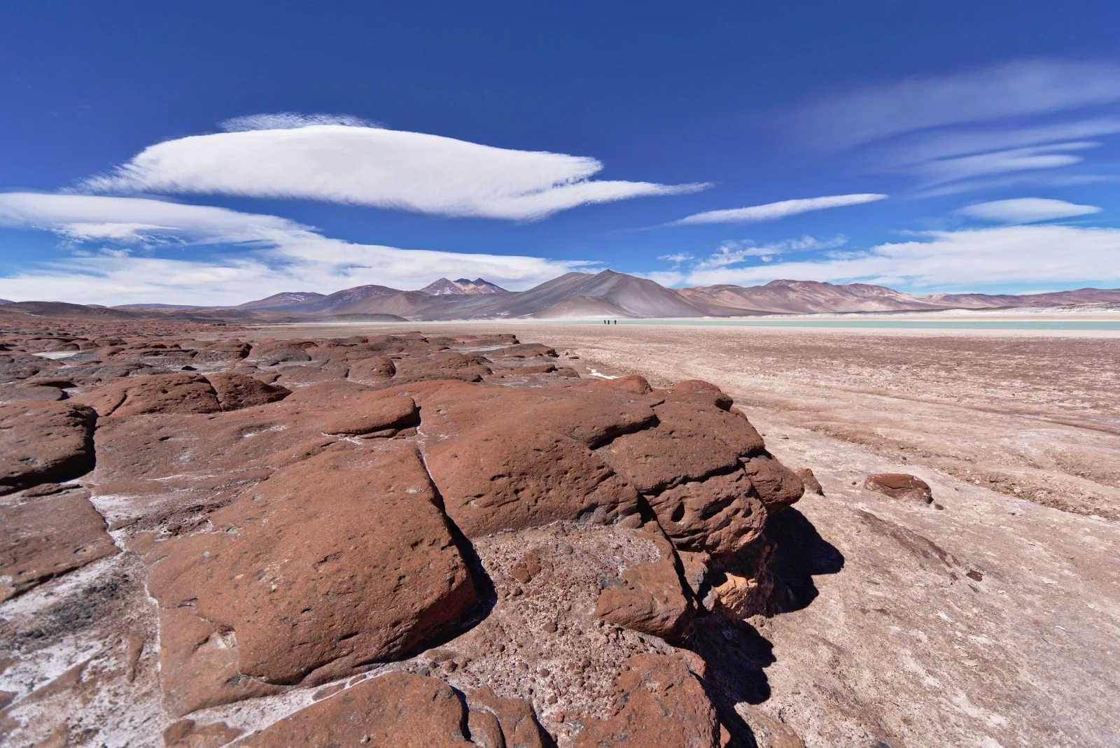 Piedras Rojas, Altiplanics Lagoons & Salar Full-Day Tour