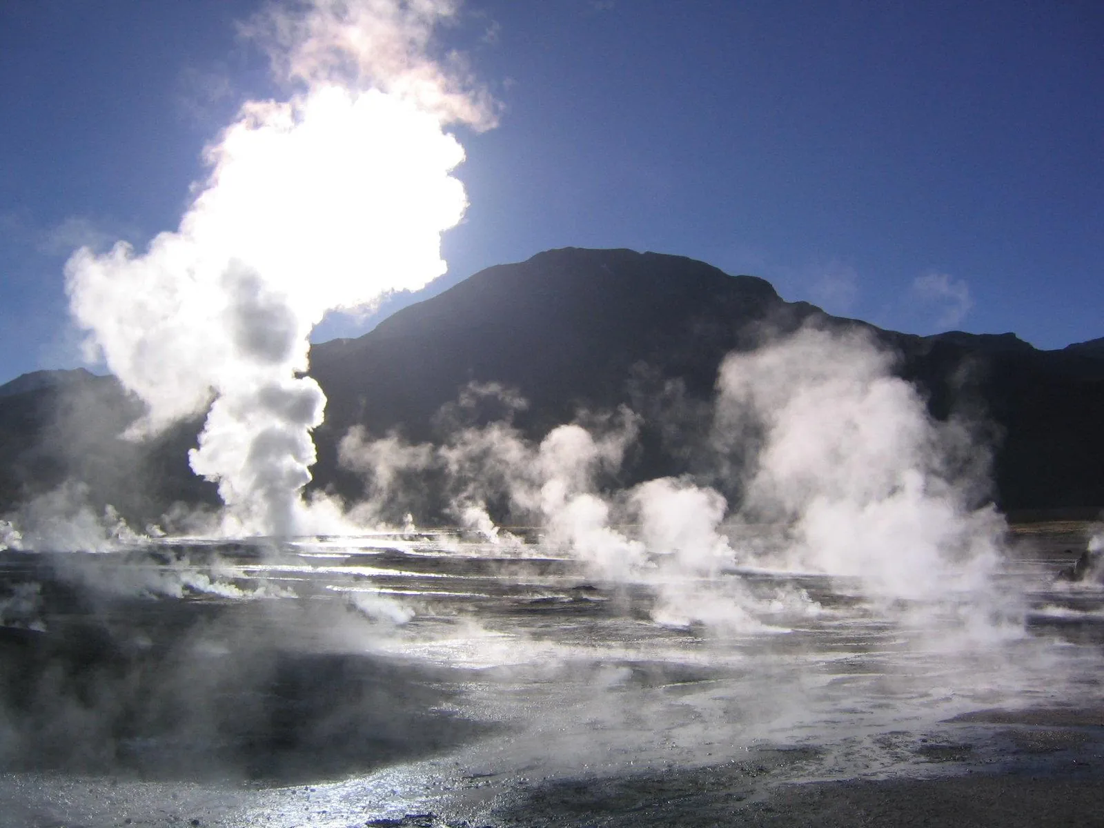 Steam columns rise from the El Tatio geyser field at dawn below a dark mountain