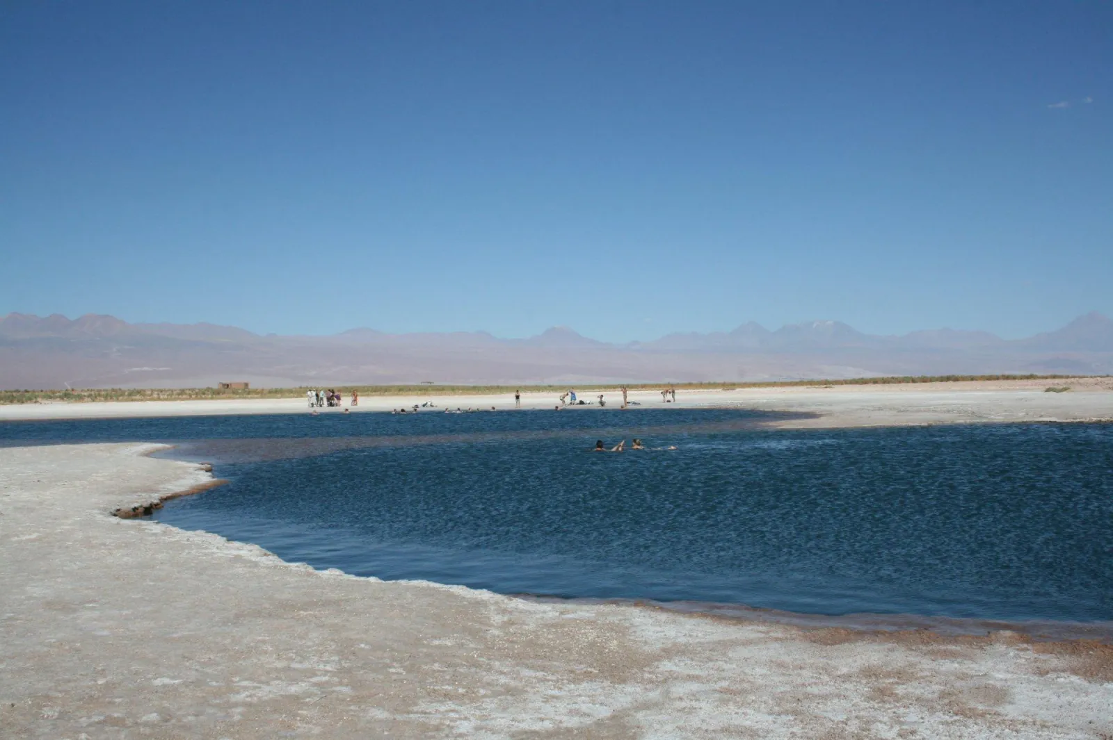 The dark blue water of Laguna Cejar meets a white salt shore, with visitors in the distance