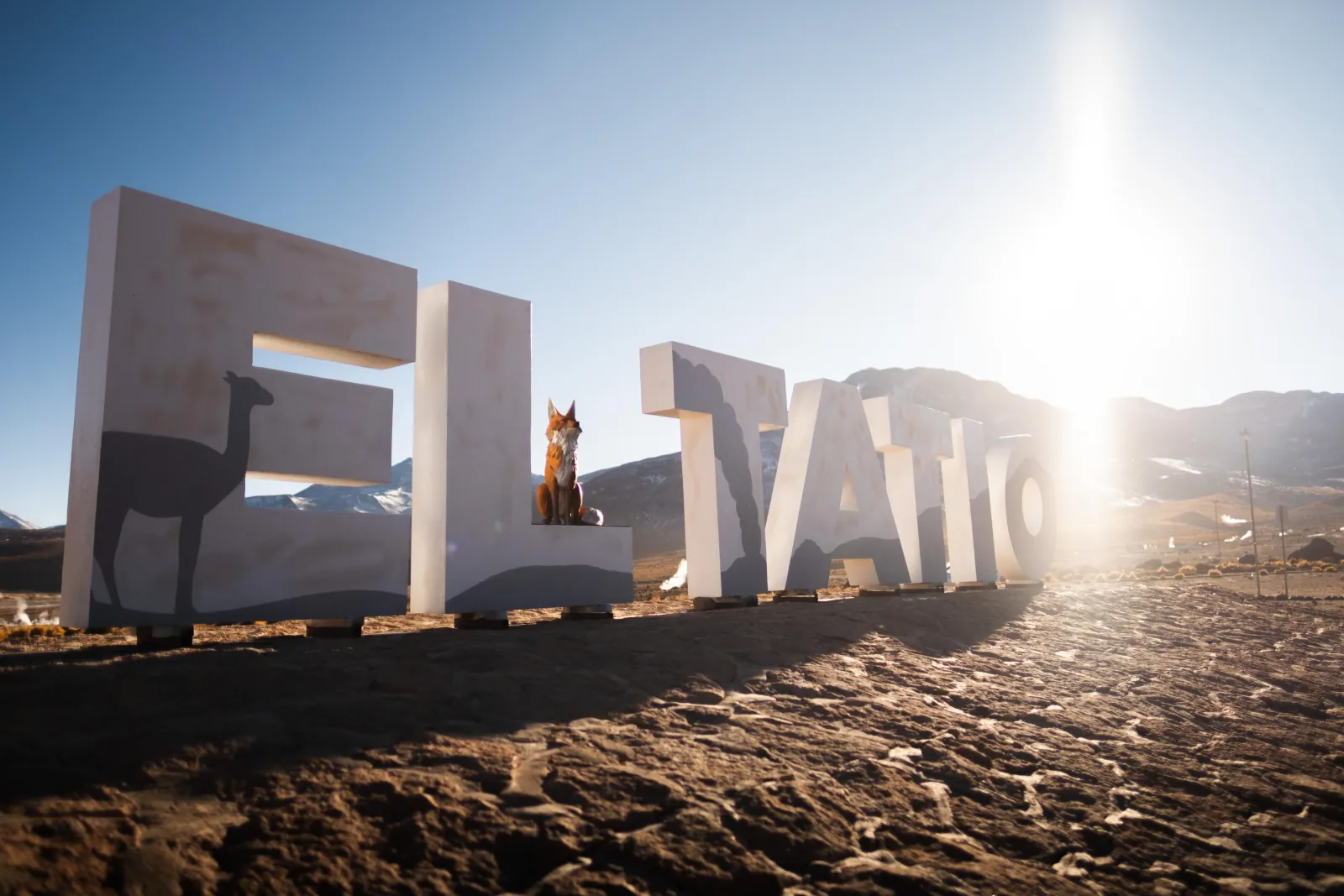 Large white letters spell EL TATIO at the geyser field, with a fox figure perched on one letter