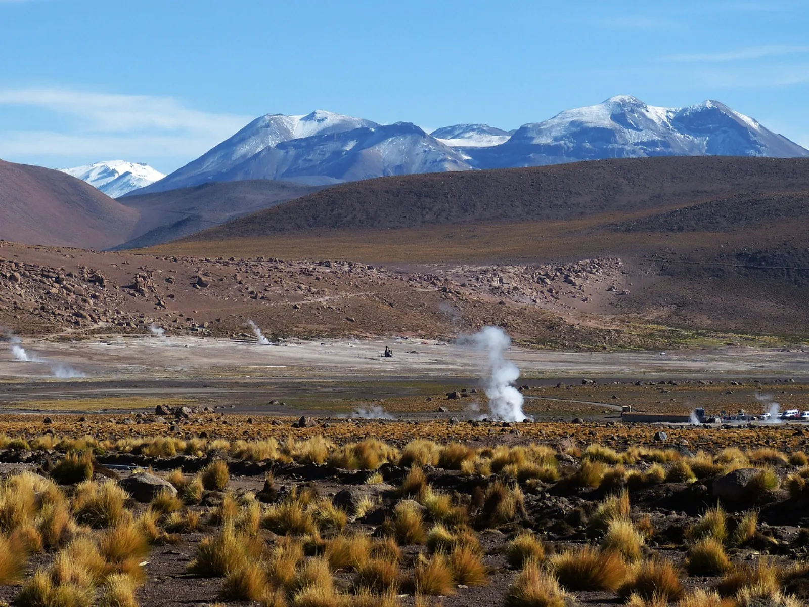 Snow-capped volcanoes stand above the El Tatio geyser field and its golden grassland