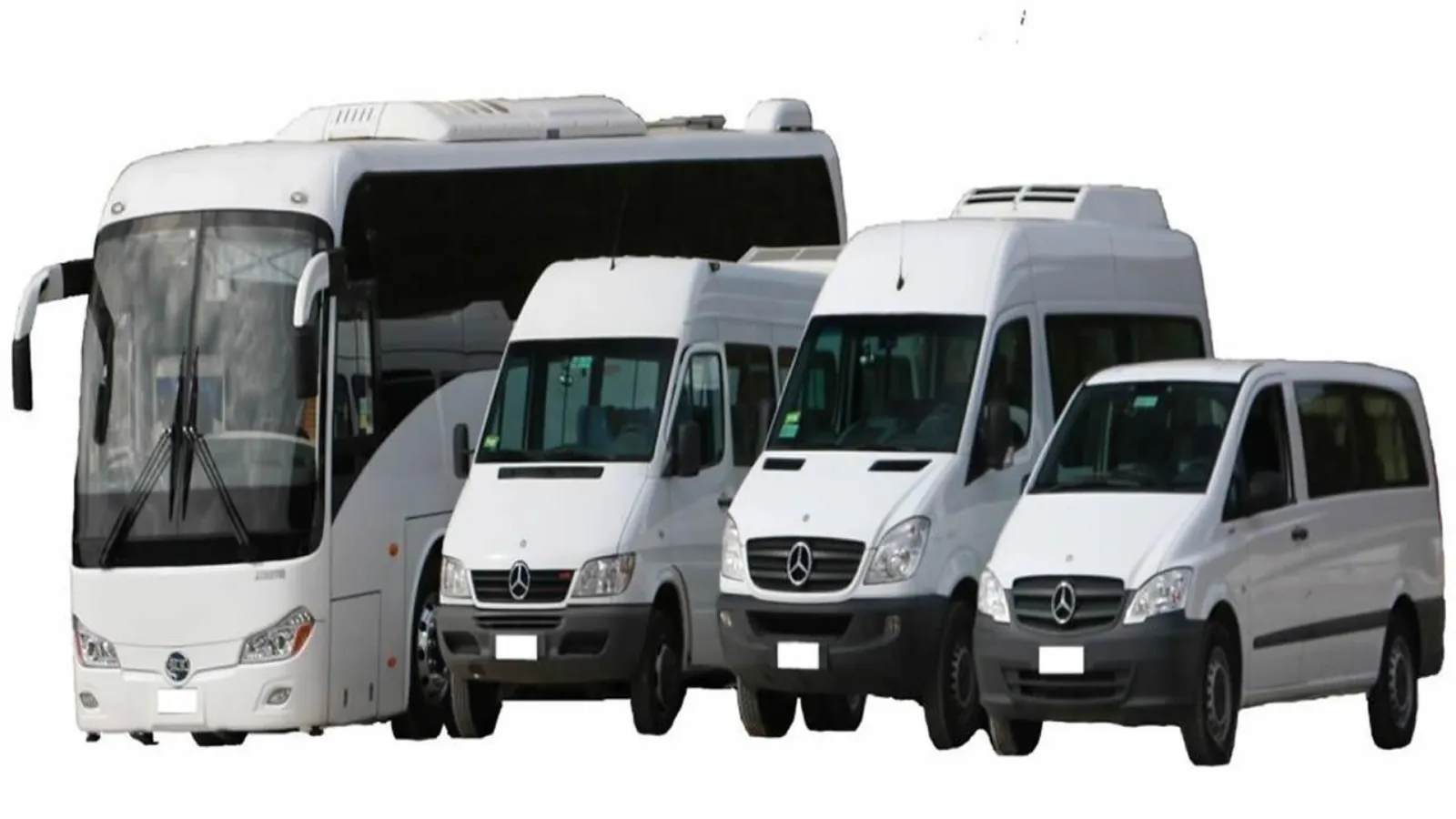 A white coach, two Mercedes-Benz Sprinter minibuses and a Mercedes-Benz Vito van side by side