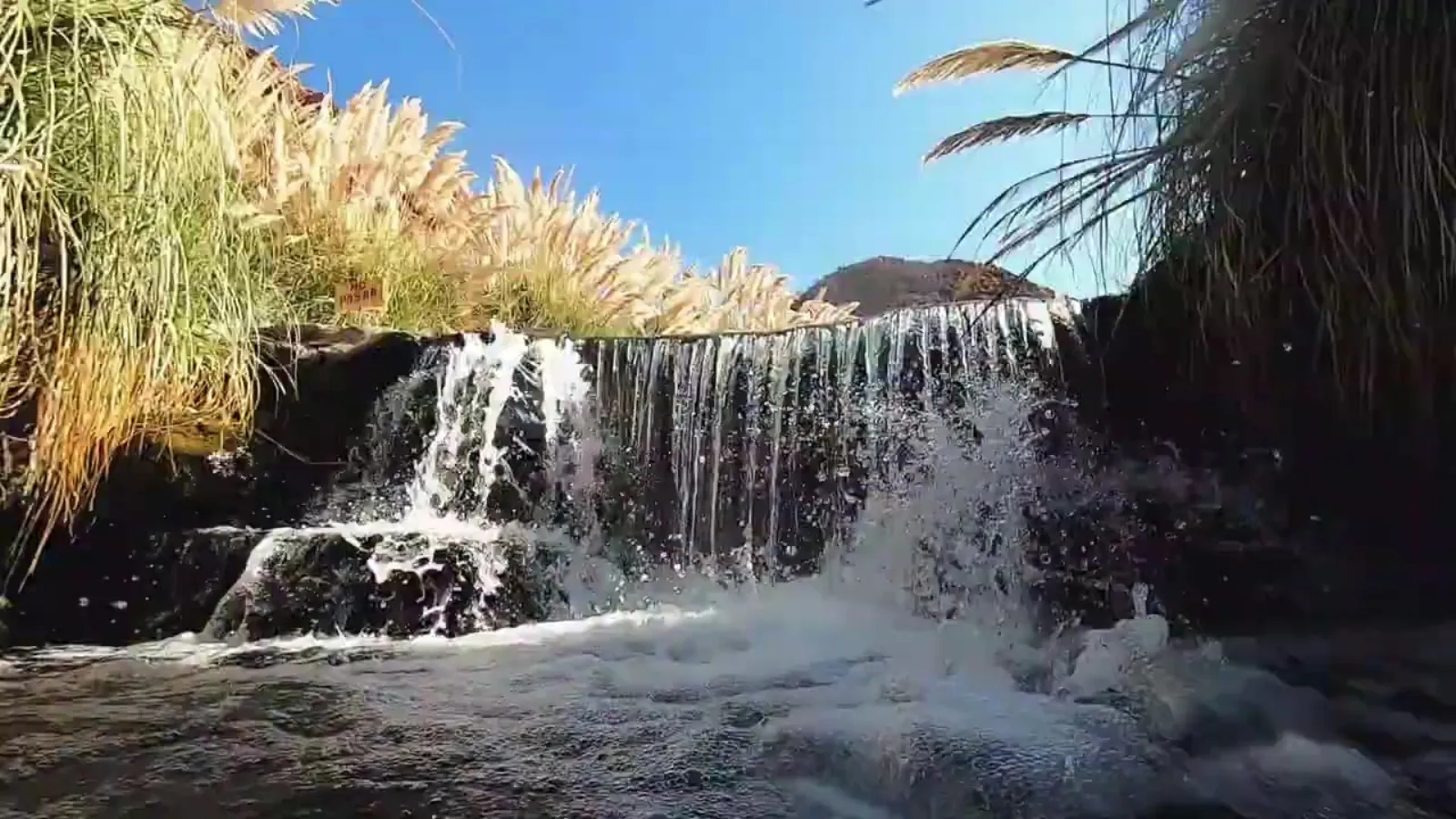 Water spills over a low stone ledge into a pool, framed by pampas grass