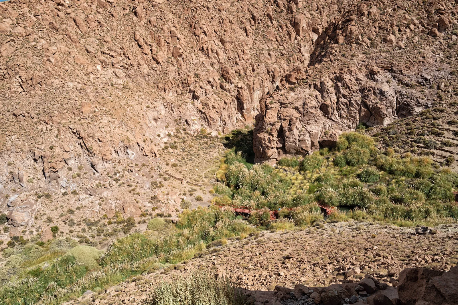 The rocky Puritama canyon with a strip of green vegetation and a footpath along the river