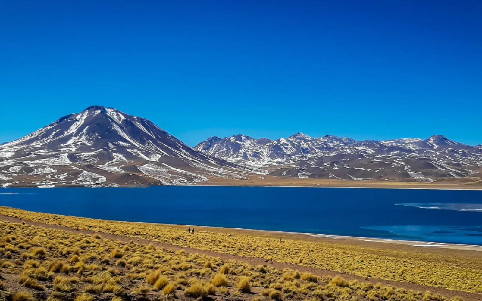 Laguna Miscanti's deep blue water below a snow-streaked volcano and golden grassland