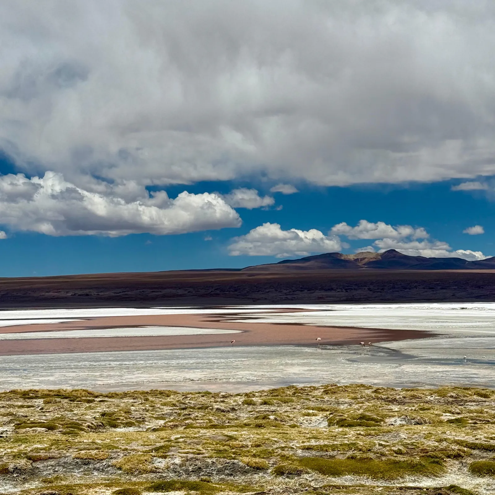 A reddish lagoon with white mineral shores and green wetland under a cloudy sky