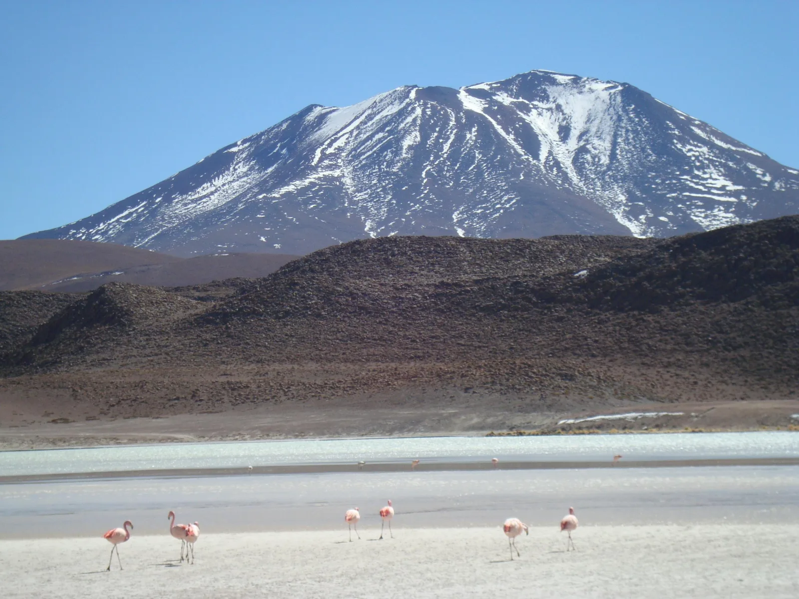 San Pedro de Atacama: 3 D. Tour Uyuni and Back to San Pedro