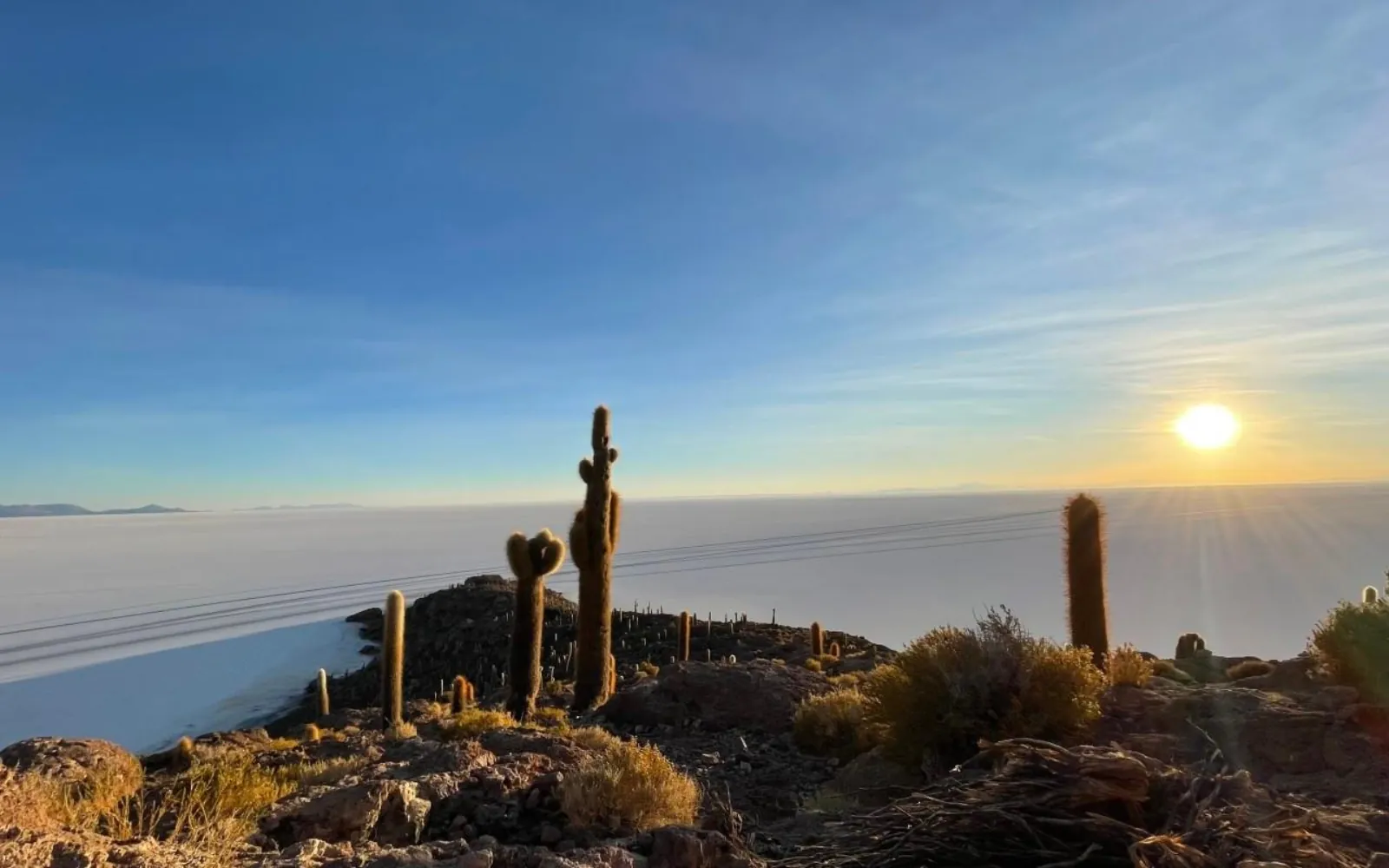 Tall cacti on Isla Incahuasi at sunrise above the white salt flat