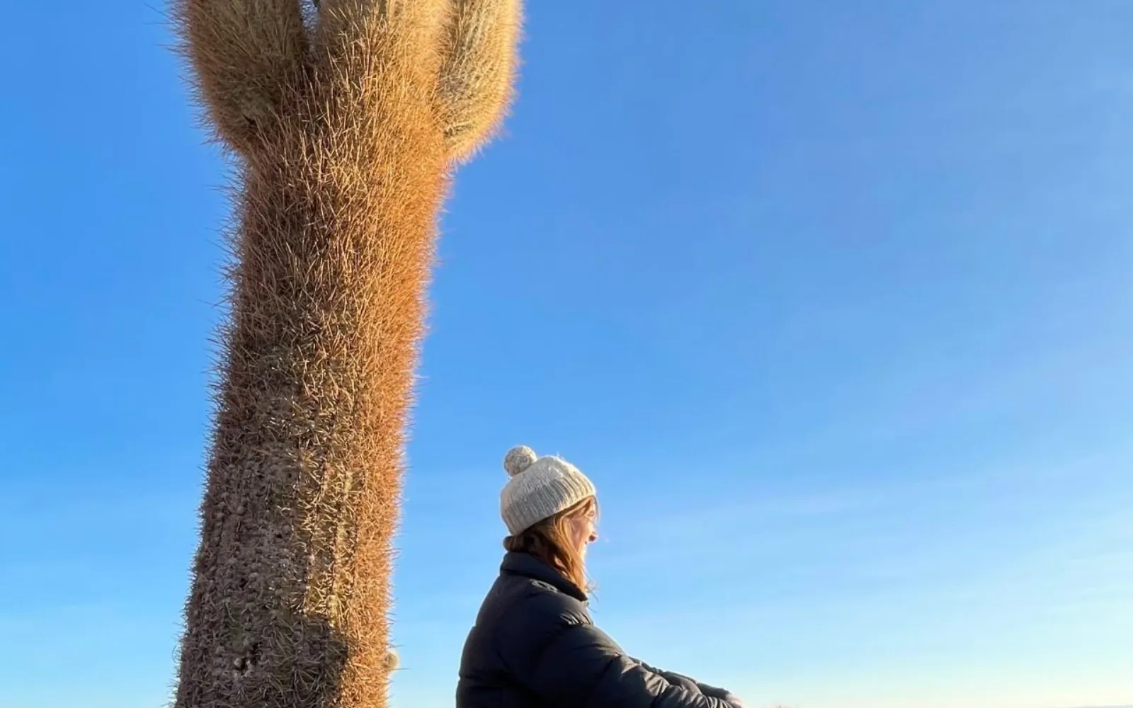 A traveller in a woollen hat sits beside a giant cactus on Isla Incahuasi
