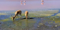 Guest photo from review